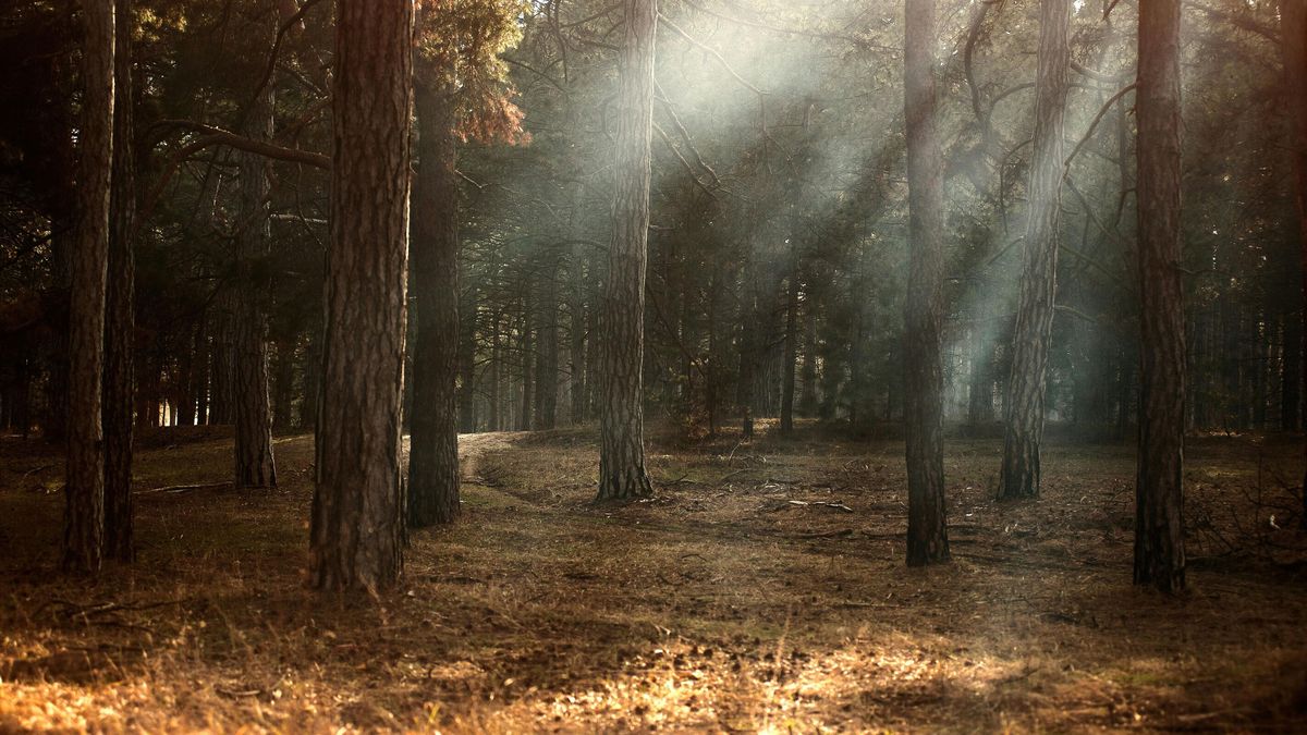 Az időjárás megajándékoz még egy kis napsütéssel