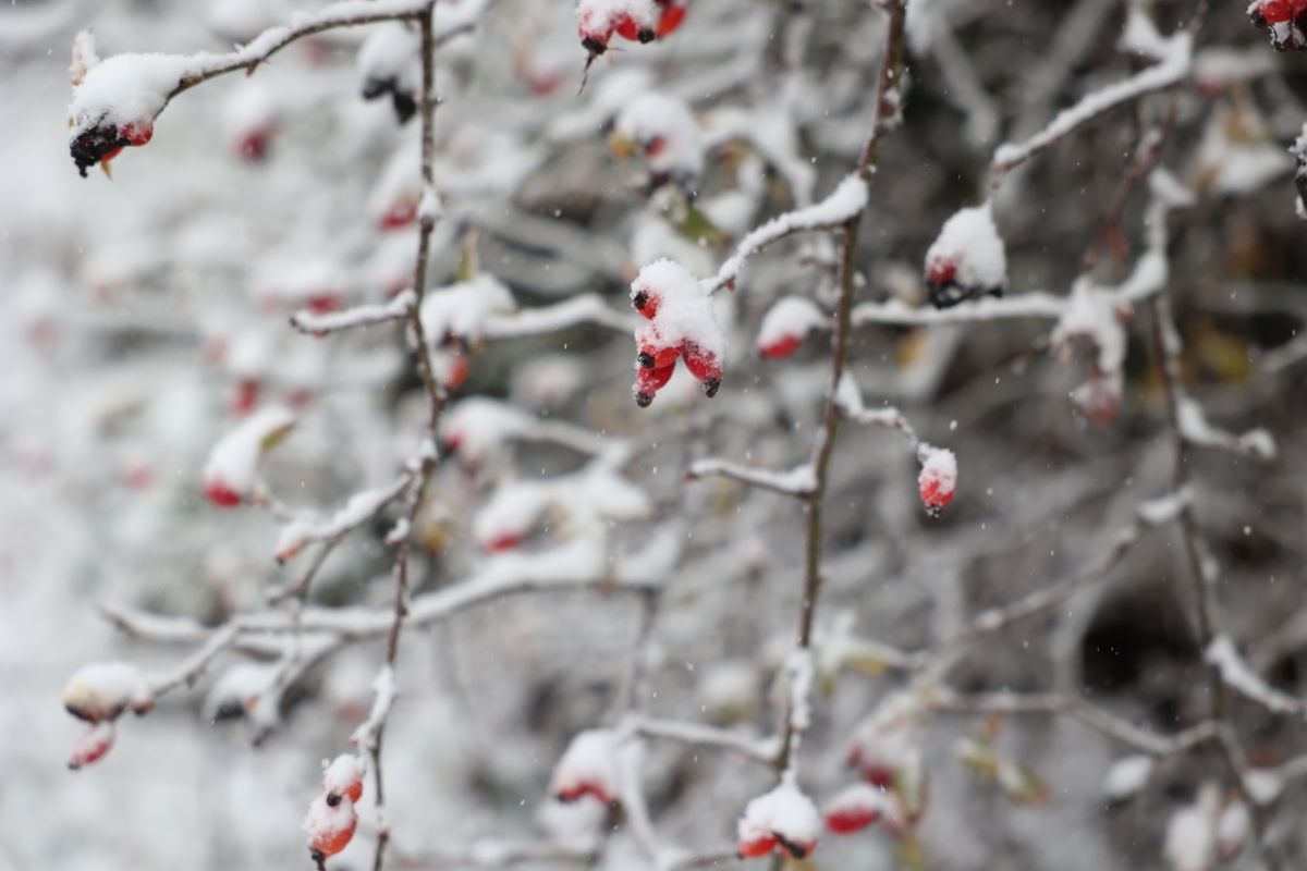 Így alakul az időjárás a következő napokban