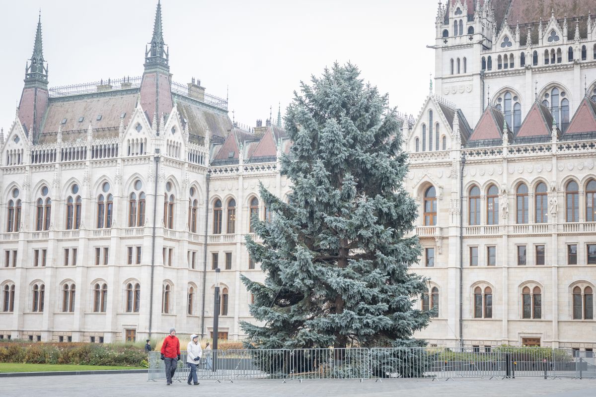 Még díszítésre vár az ország karácsonyfája a Kossuth Lajos téren.