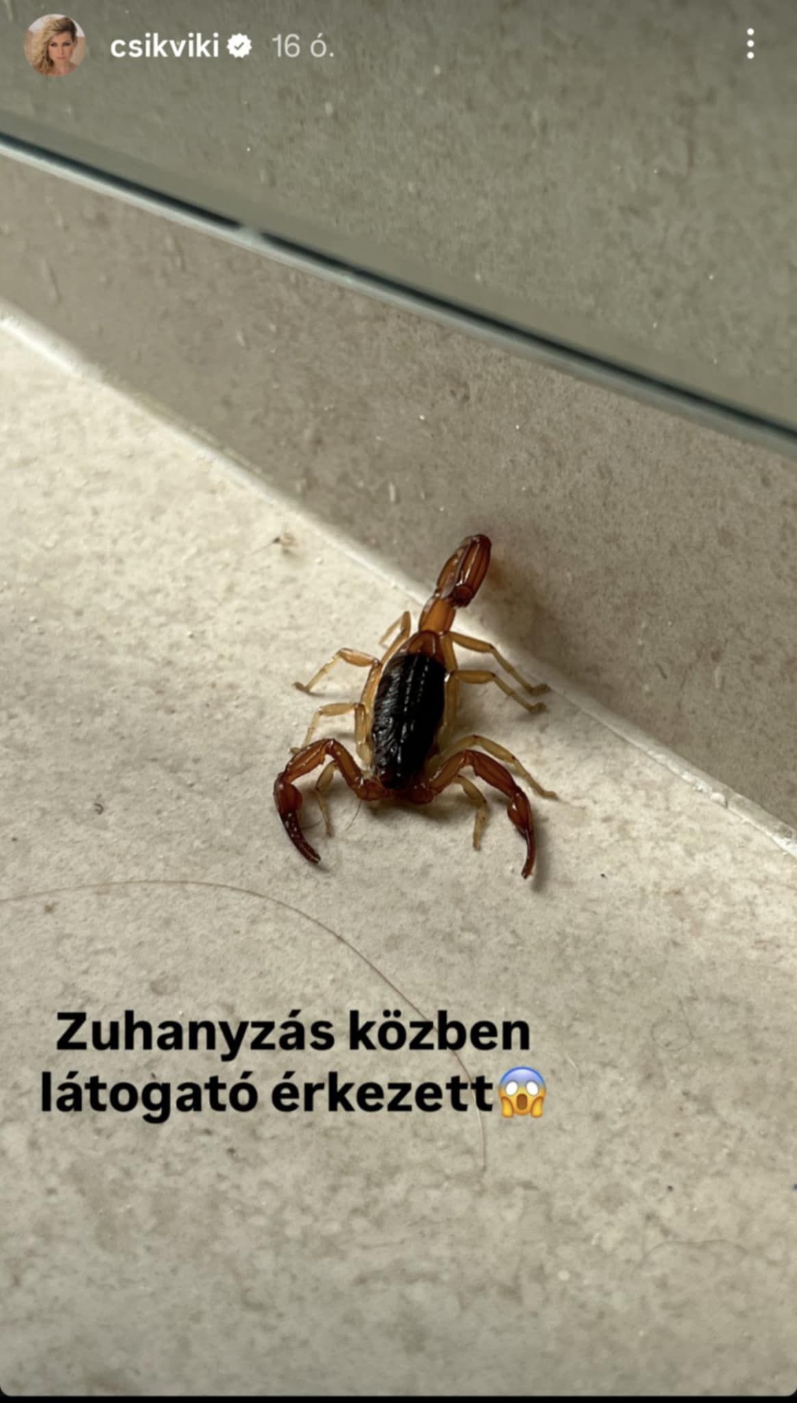 A skorpió halálra rémítette Szorcsik Vikit.
