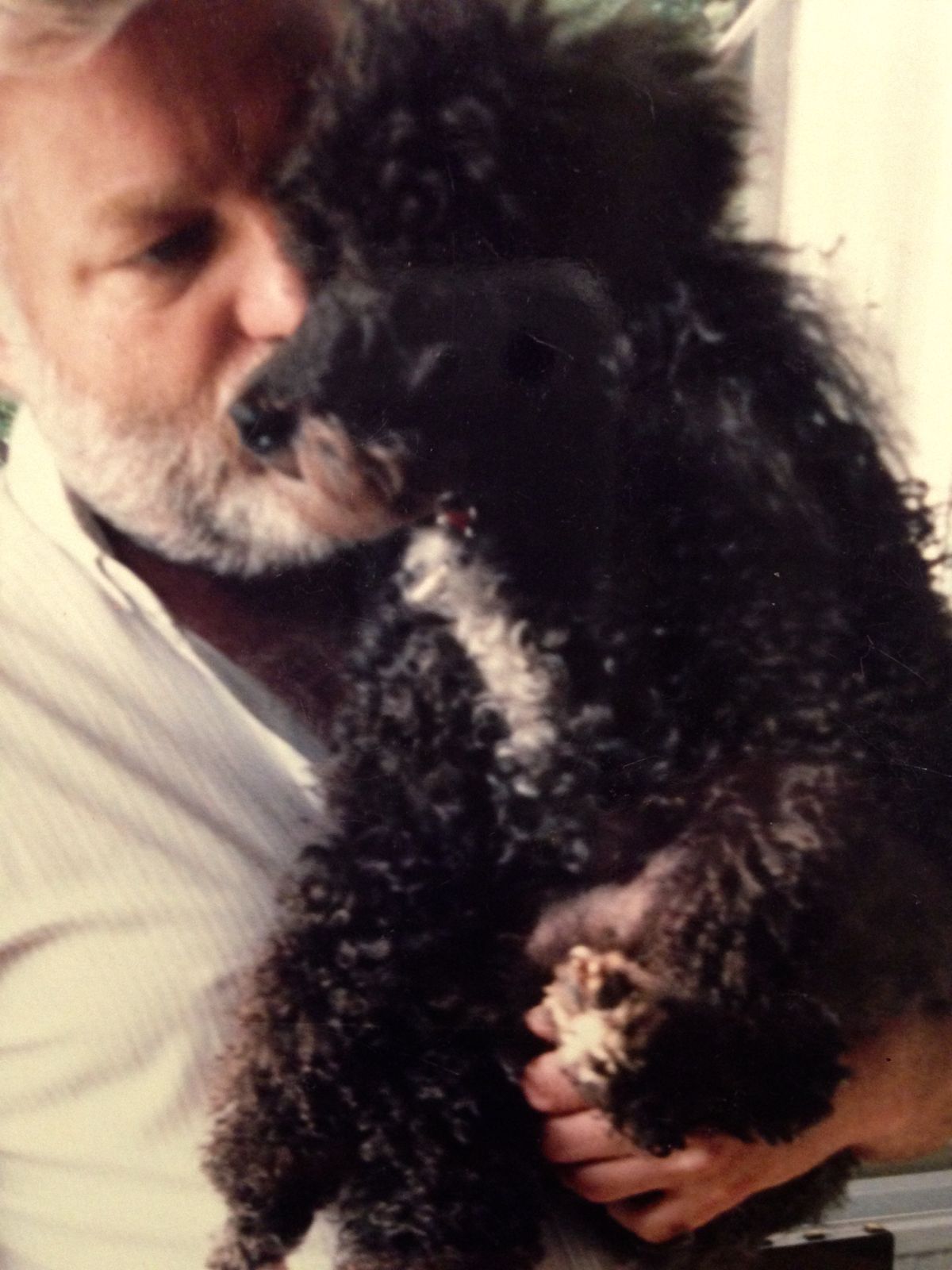 Tomi kutyát mindenki a család tagjaként kezelte, szerette