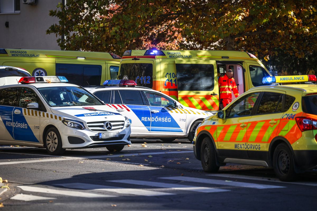 Vonatgázoláshoz riasztották az egységeket. F