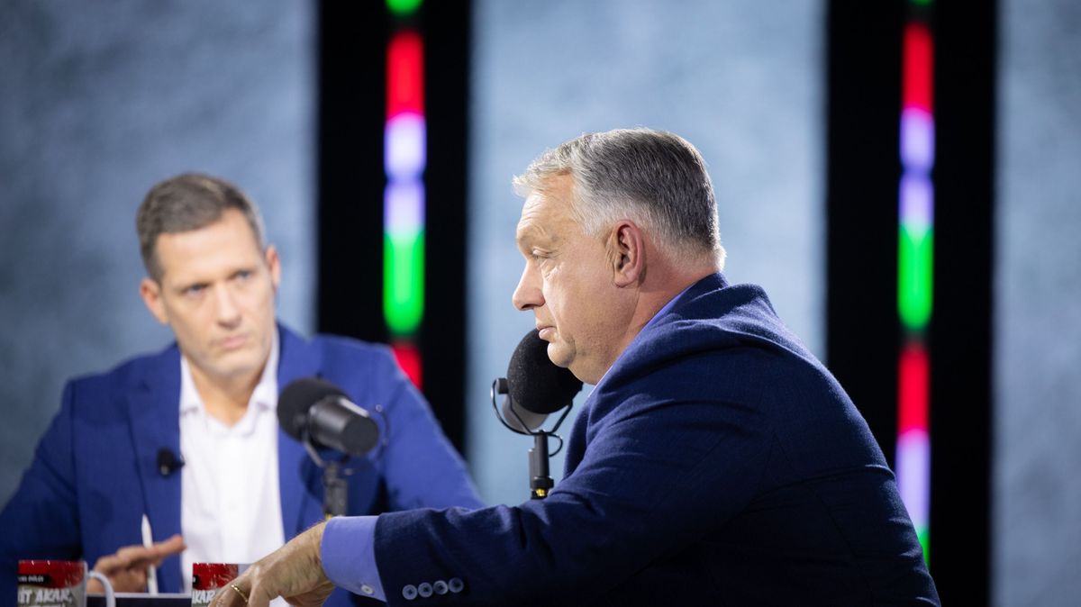 DPK Háborúellenes gyűlés, Győr, 2025. 11. 15.Orbán Viktor