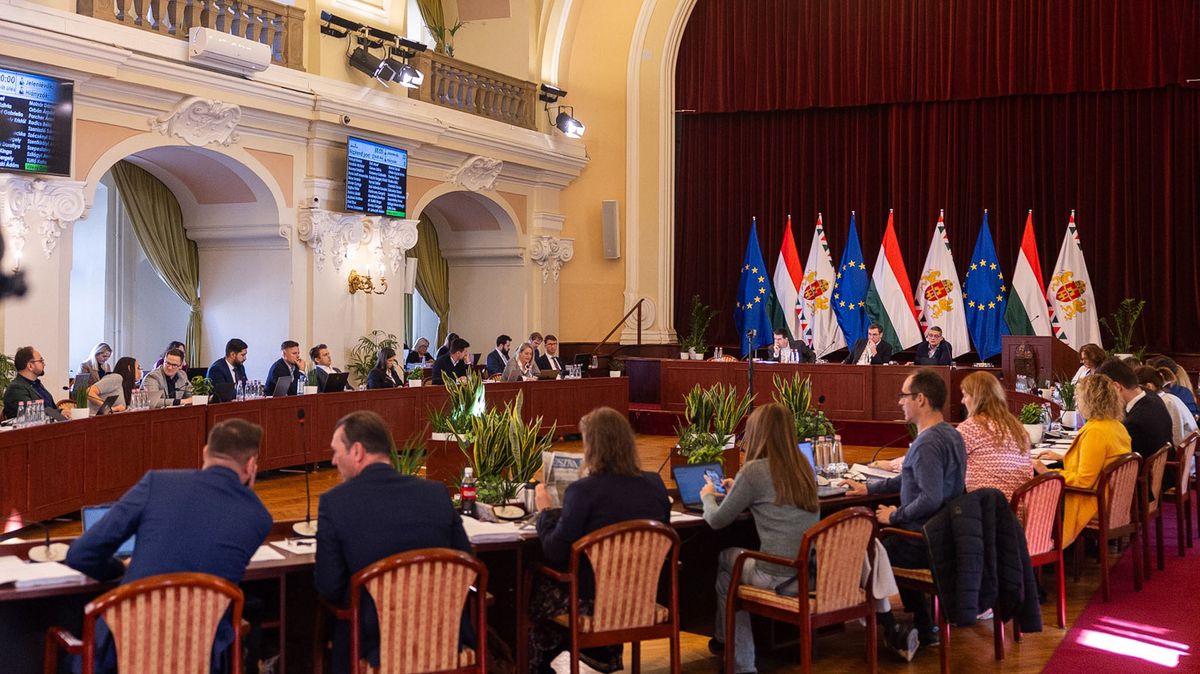 fővárosi közgyűlés