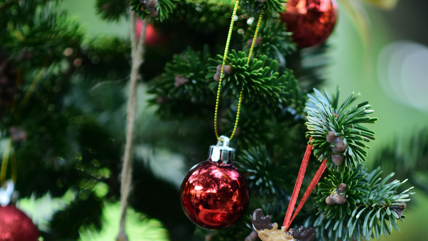 Kvíz kérdést ábrázoló kép.