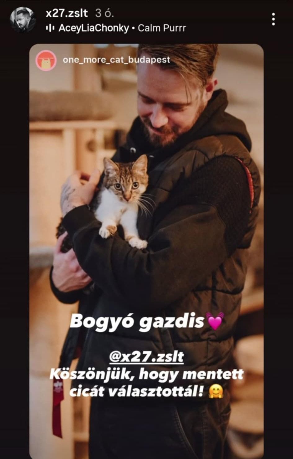 Házasság első látásra Zsolt mentett cicát fogadott örökbe. 