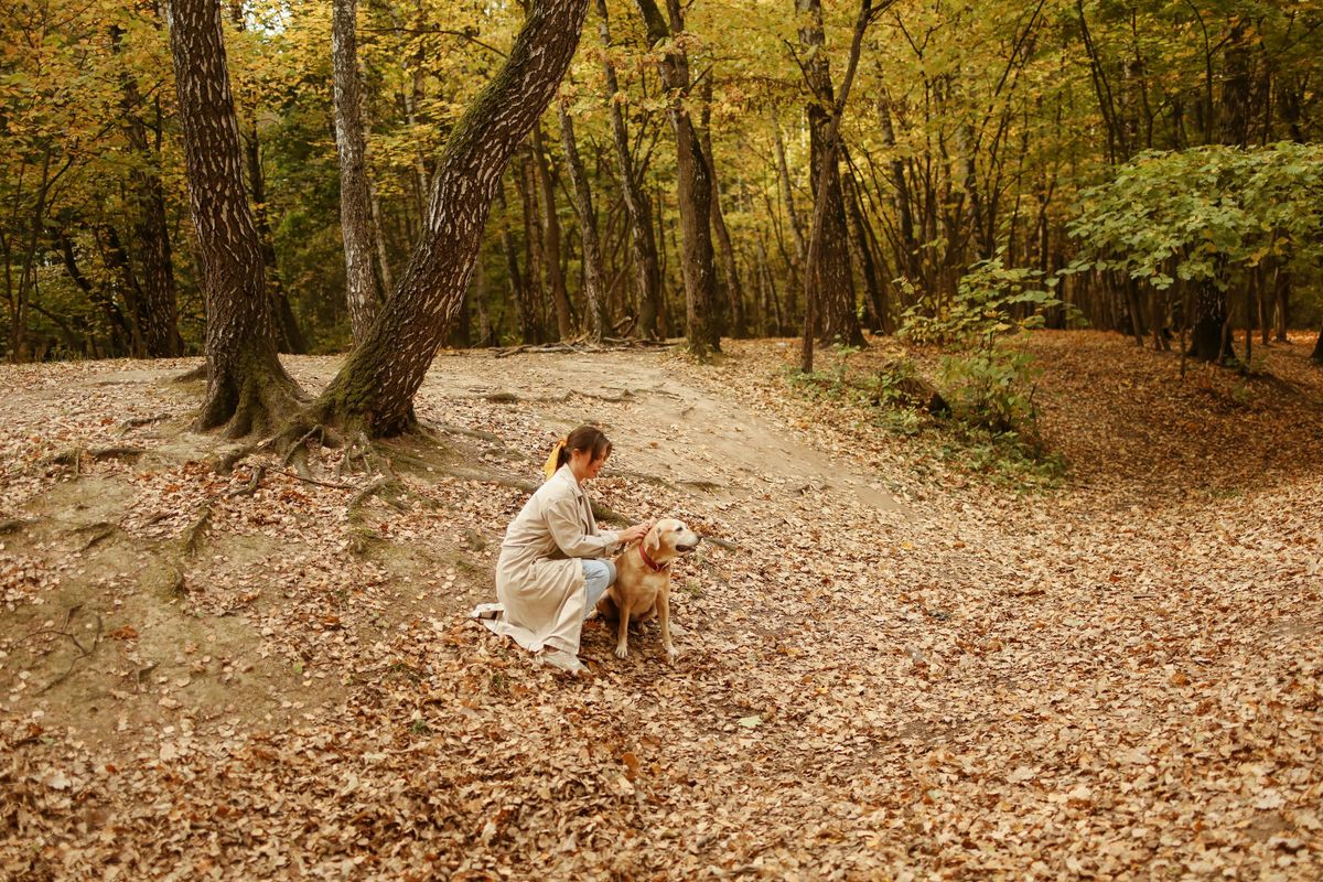 A kutyarugdosó fantom rettegésben tartja az angyalföldi nőket
