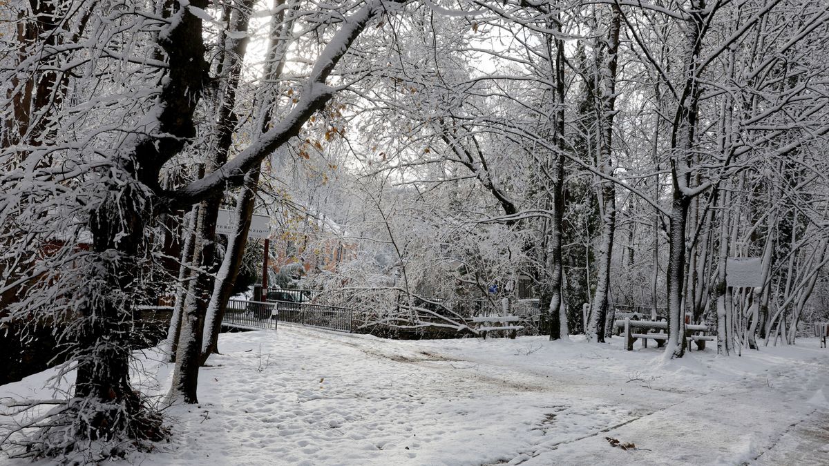 Fehéren, havazással búcsúzik az óév az ország legnagyobb részén. Fotó: Vajda János / Észak Magyarország