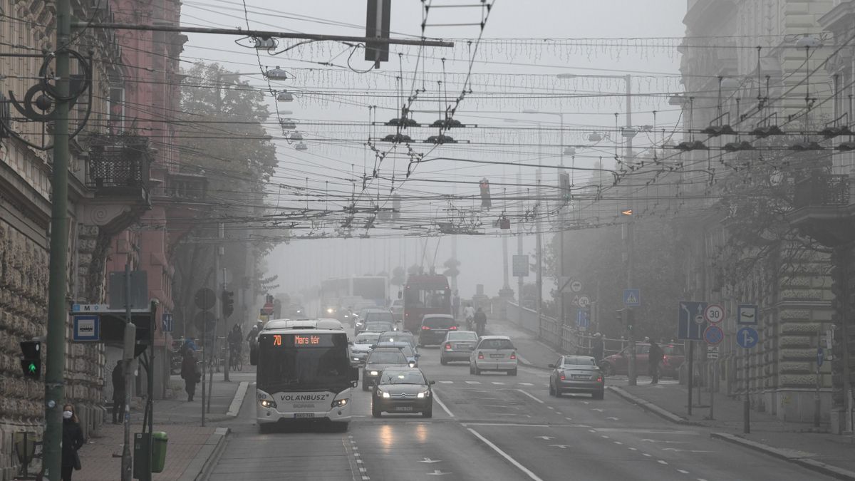 DSC_1895 Dorottya napja