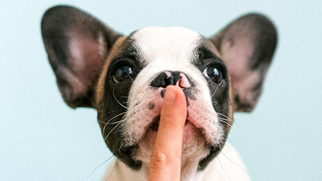 Kiderült a titkos összetevő