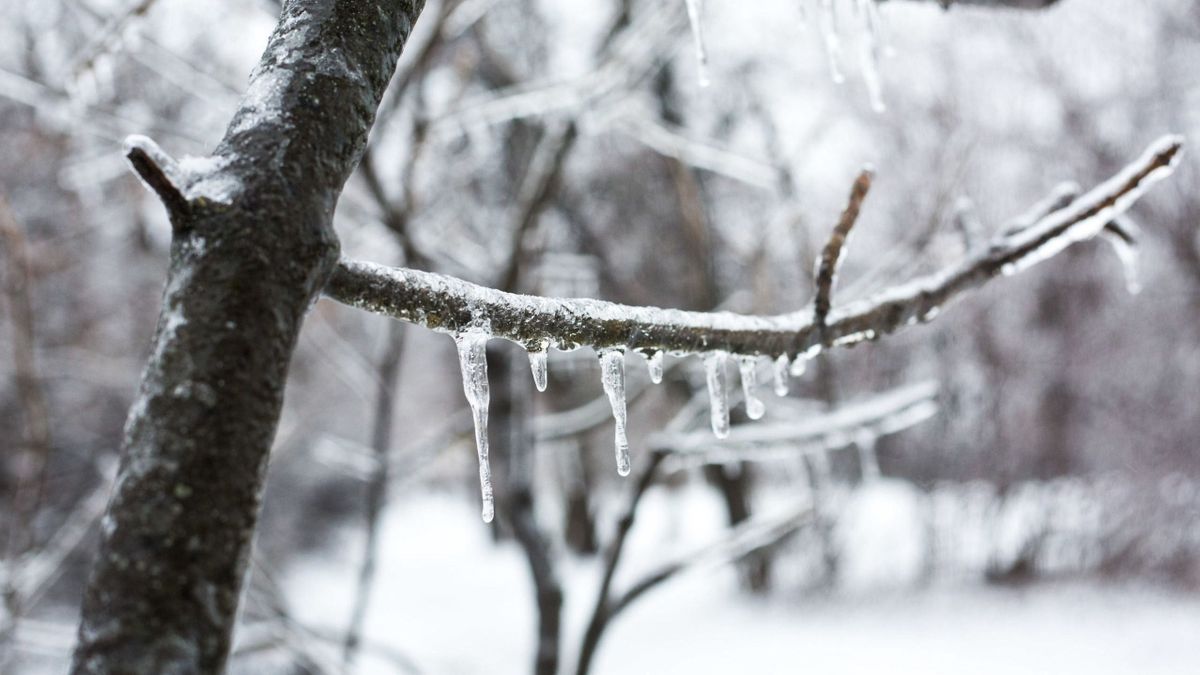 Piroska napja a hagyomány szerint elárulja a következő negyven nap időjárását / Fotó: Metropol