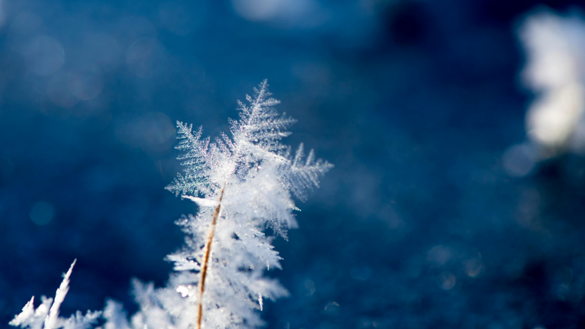 Kvíz kérdést ábrázoló kép.