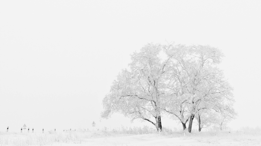 Kvíz kérdést ábrázoló kép.