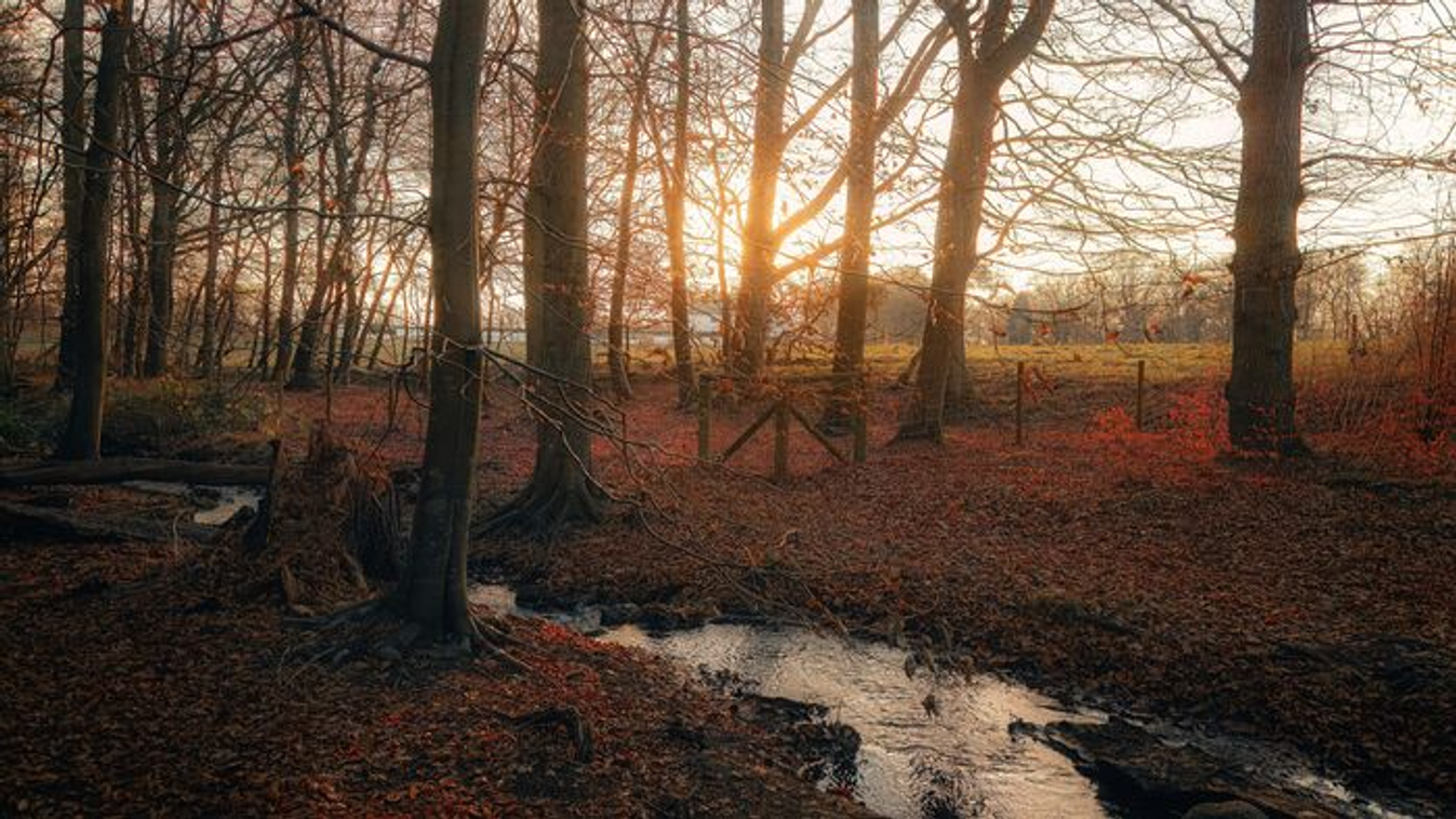 Óriási fordulat az időjárásban - Vasárnap akár 10 fok is lehet
