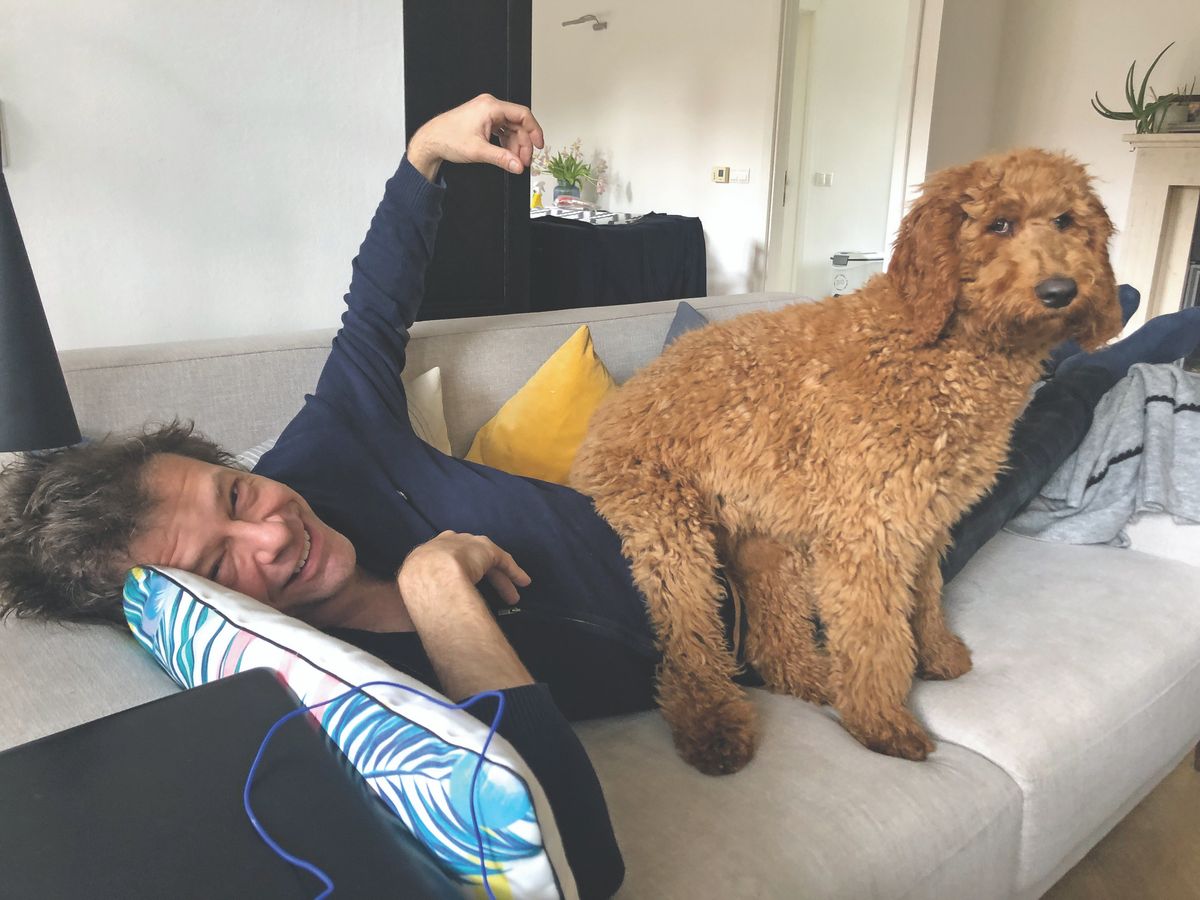 Dubi számára nincs tiltott zóna a lakásban