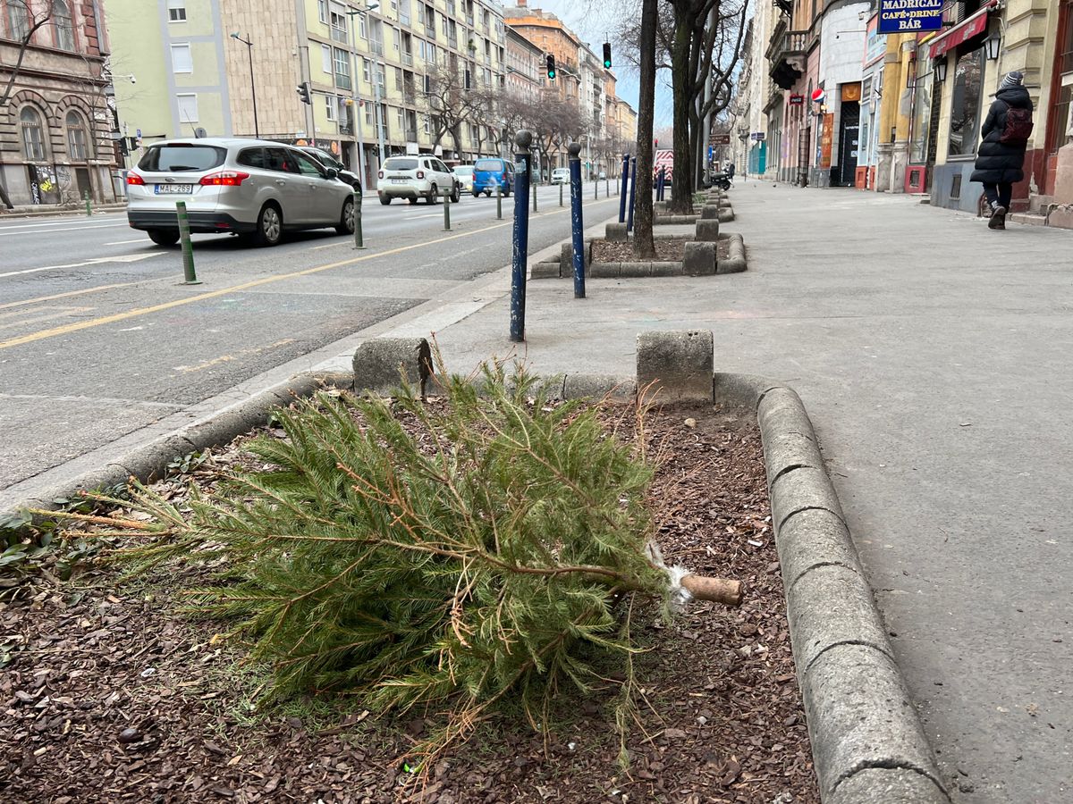 vízkereszti hagyományok