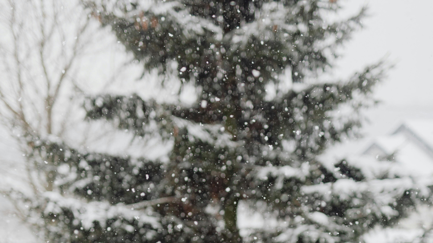 Kvíz kérdést ábrázoló kép.