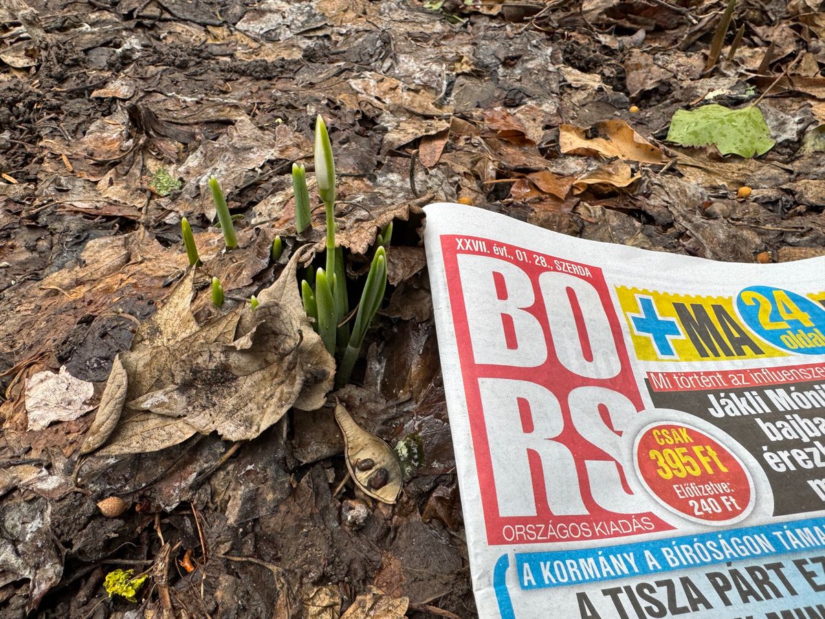 Wekerletelepen is fehérlenek a kertek 