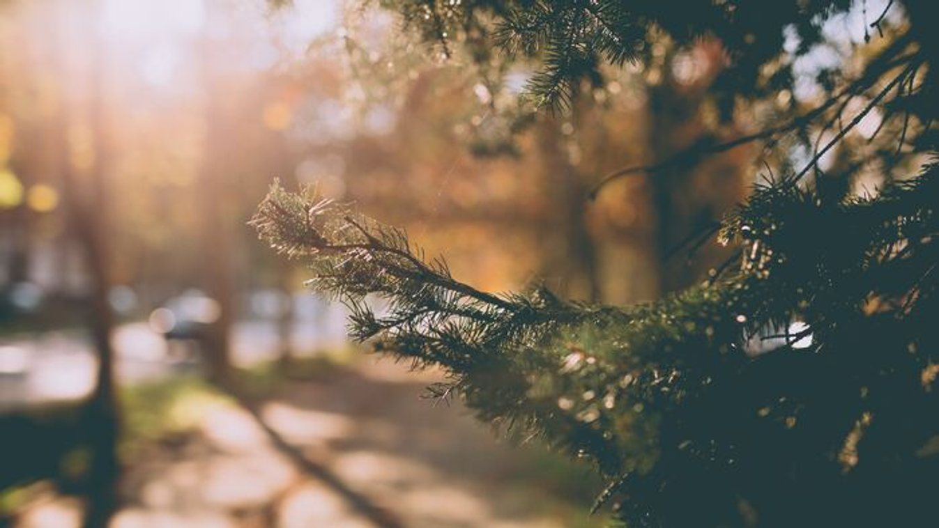 Hihetetlen felmelegedés közeledik – tavaszias időjárásra számíthatunk!