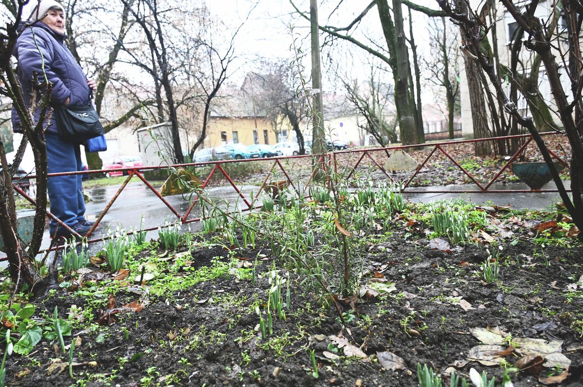 MJA_1609 Drasztikusan változik az időjárás