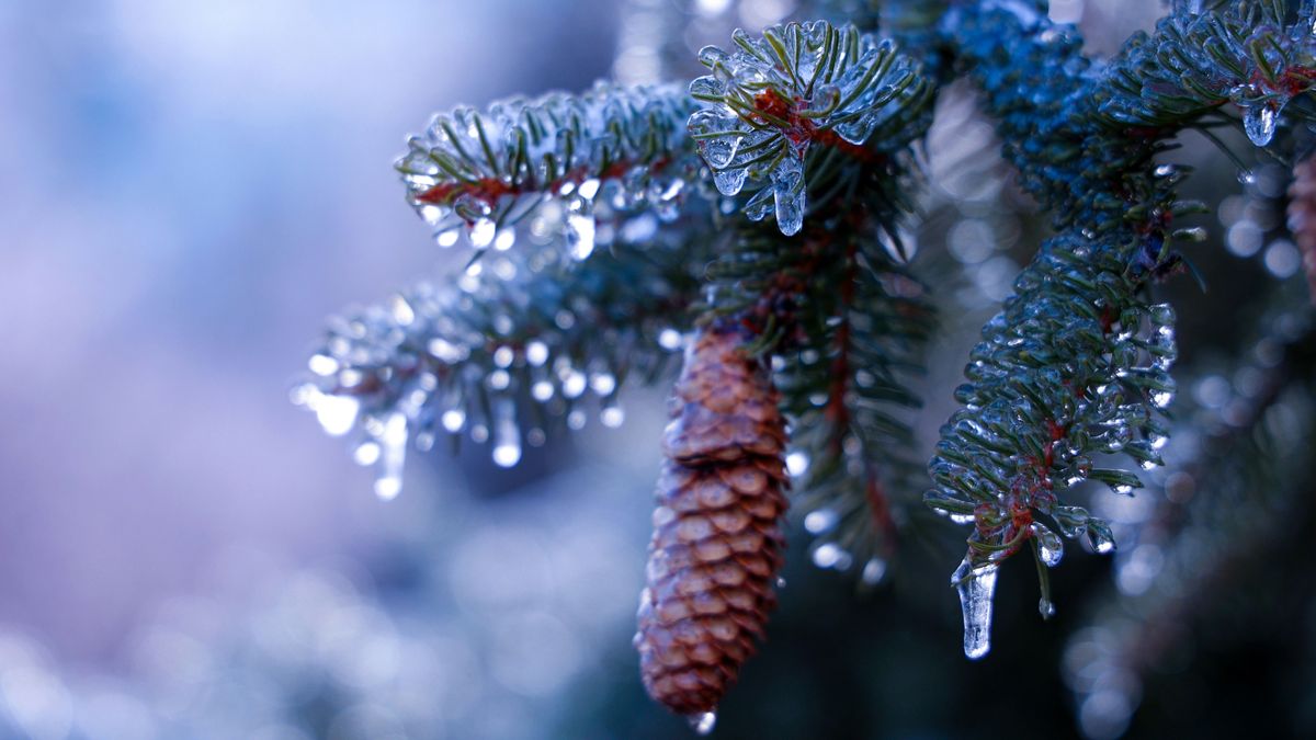 Ónos esővel folytatja a hetet az időjárás.