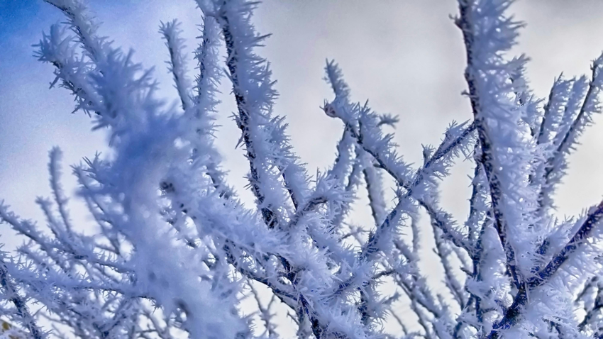 Kvíz kérdést ábrázoló kép.