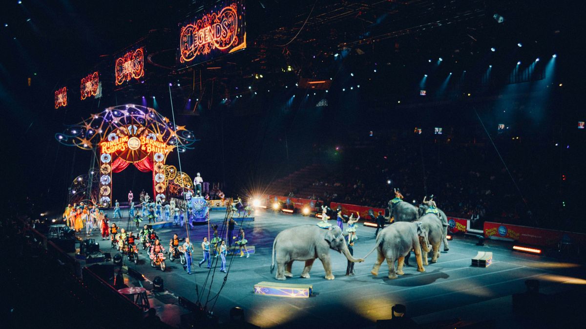 Cirkuszra született a kivételes gyermek