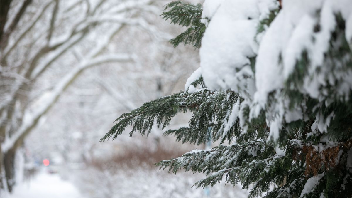Nem kegyelmez az időjárás