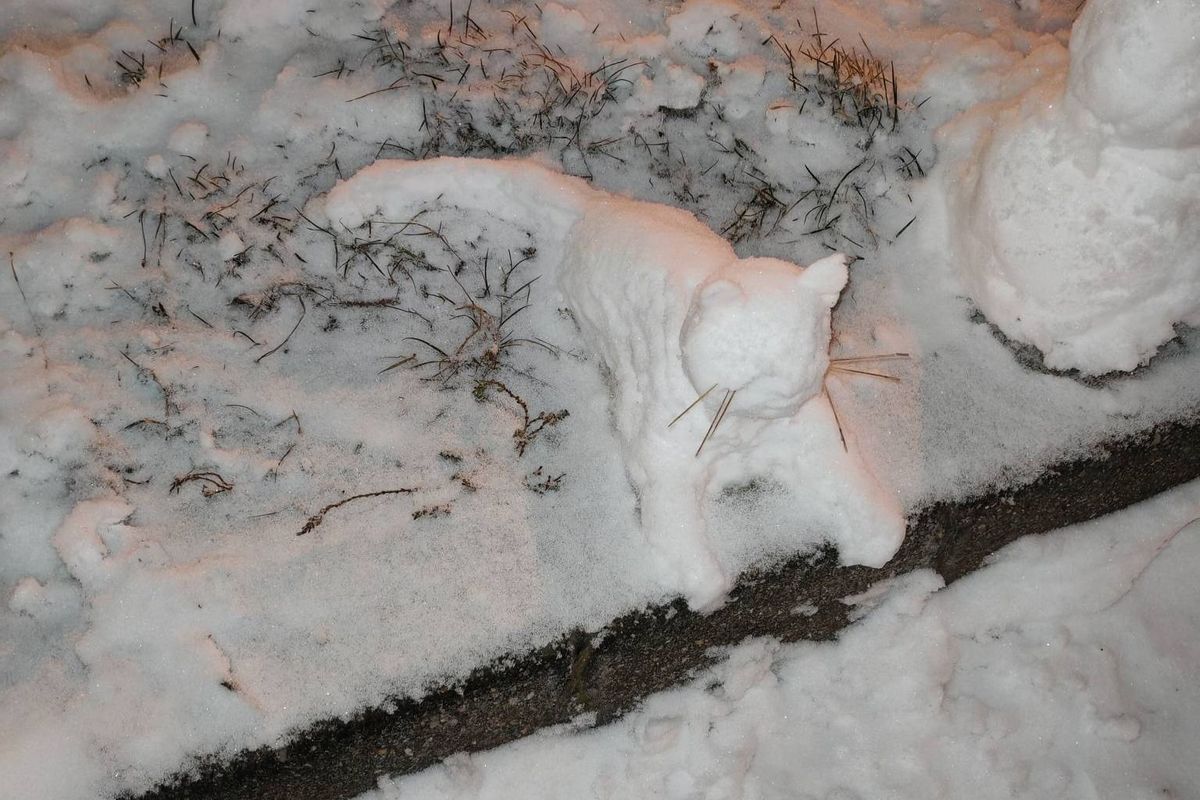 Az egri SPAR parkolójában valaki egy hócicát épített