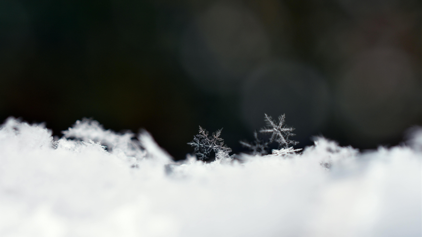 Kvíz kérdést ábrázoló kép.