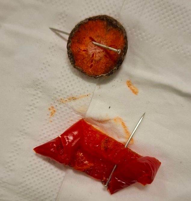 A Bikás parkban talált gombostűvel átszúrt répa és paprika