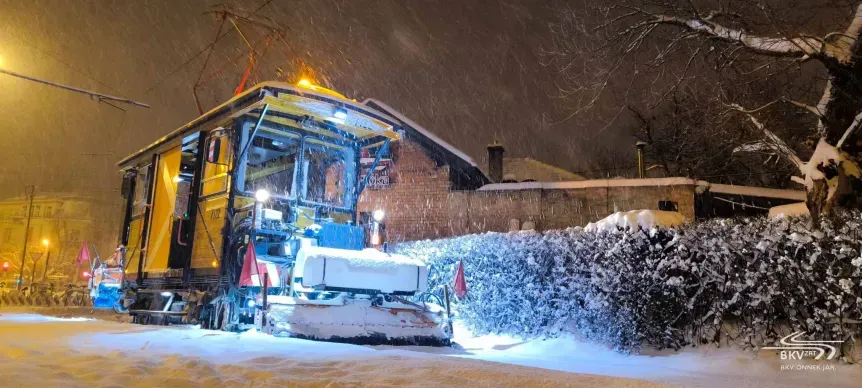 A Hómuki túrja a havat!