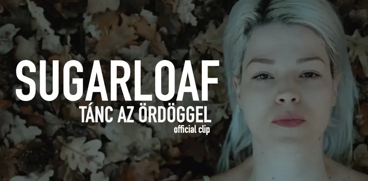 Muri Enikő és Tóth Szabi fontosnak tartják, hogy felhangosítsák a nők elleni és a családon belüli erőszak témáját (Fotó: YouTube)