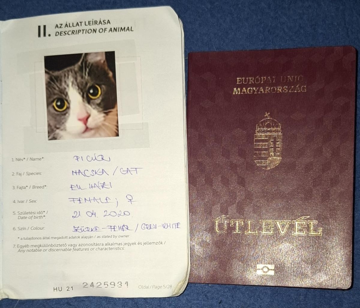 Útlevele is van Picúrnak, viszont vannak olyan országok, ahová nem utazhat még így sem