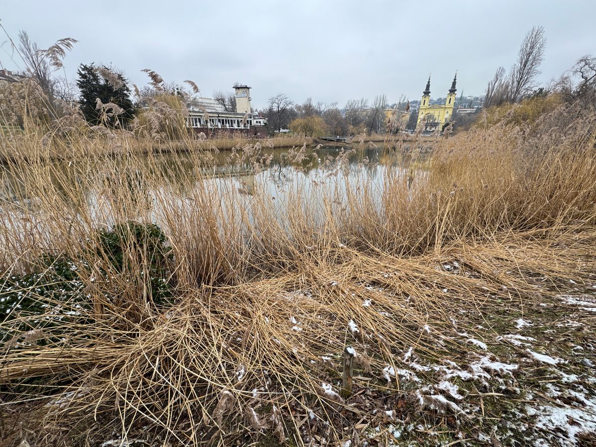Borzalmas állapotban van a Feneketlen-tó: koszos, teljesen elhanyagolt. 2026.02.17
