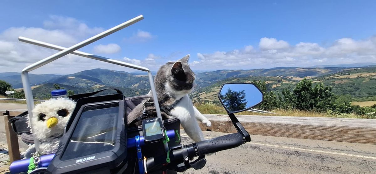 Picúr egy plüsst is kapott az úton, azzal alszik