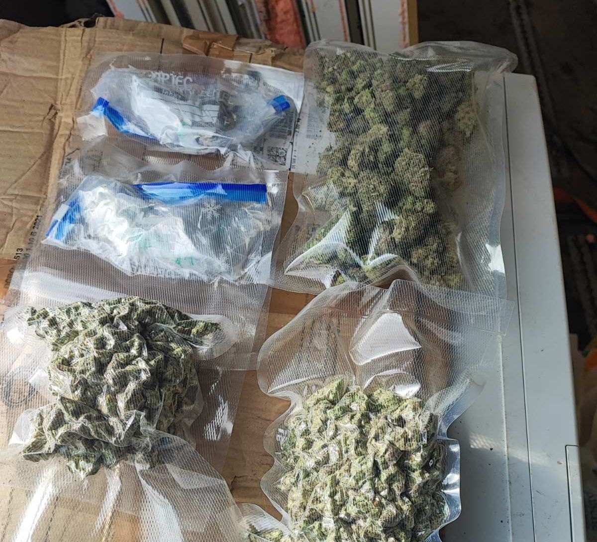 Varázsgomba és marihuána volt a csomagtartóban