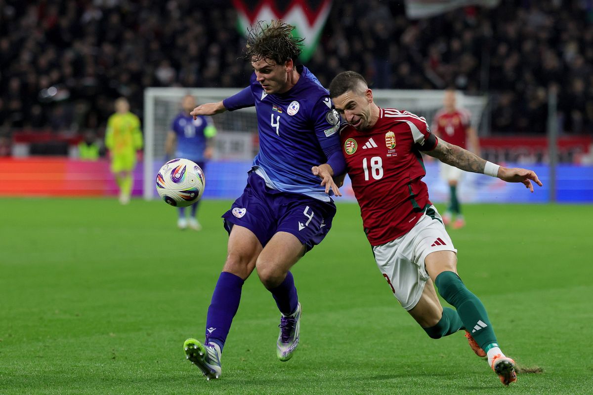 Nagy Zsolt a Puskás Akadémia magyar válogatott labdarúgója