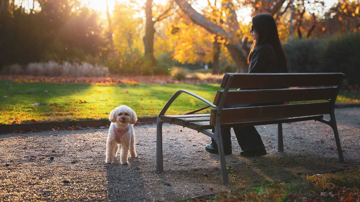 Napos időjárásra számíthatunk.