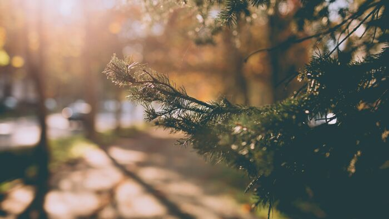 Megbolondul az időjárás, havazás majd 12 fok várható