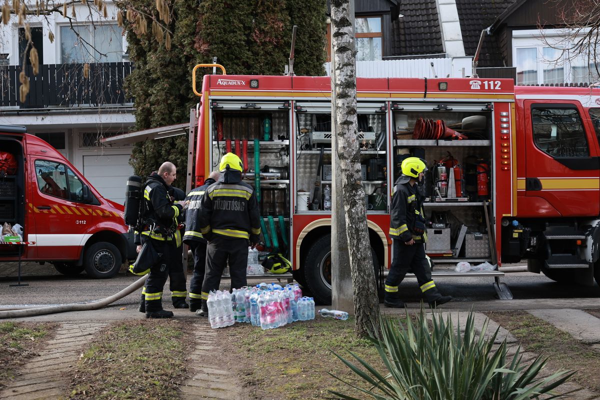 Budakeszi tűz 
2026.02.13