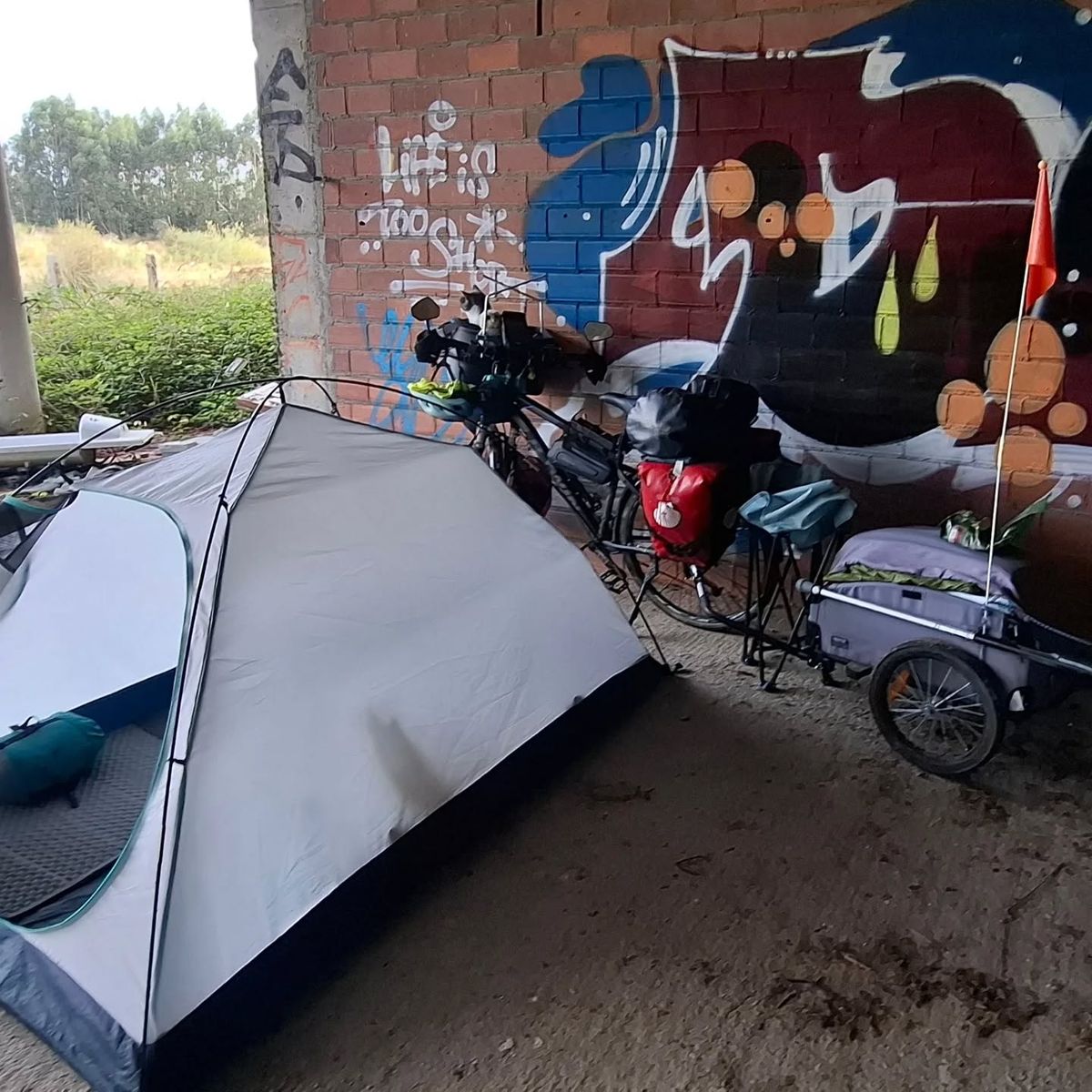 Sokszor hidak alatt, vagy elhagyatott házakban aludtak