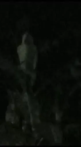 Csaba szerint a fehér lény mintha csuklyát viselne