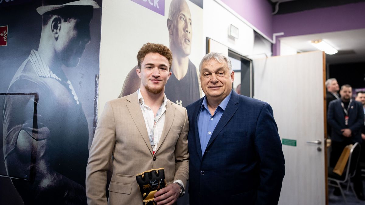 Lukács Nikolasz Róka