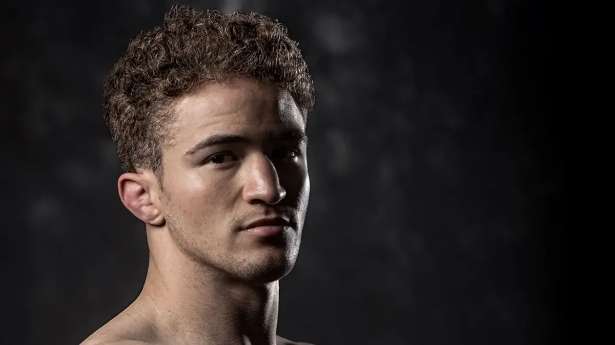 lukács nikolasz róka