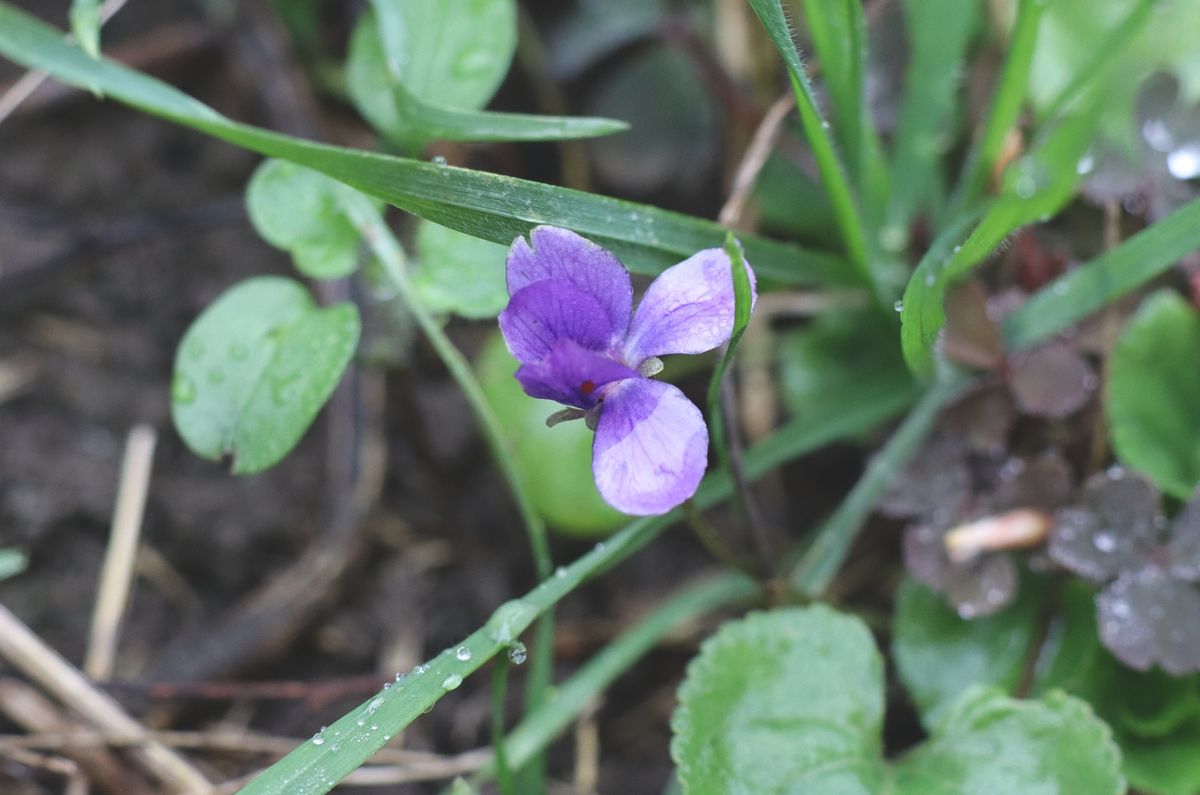 IMG_4679 meteogyógyász
