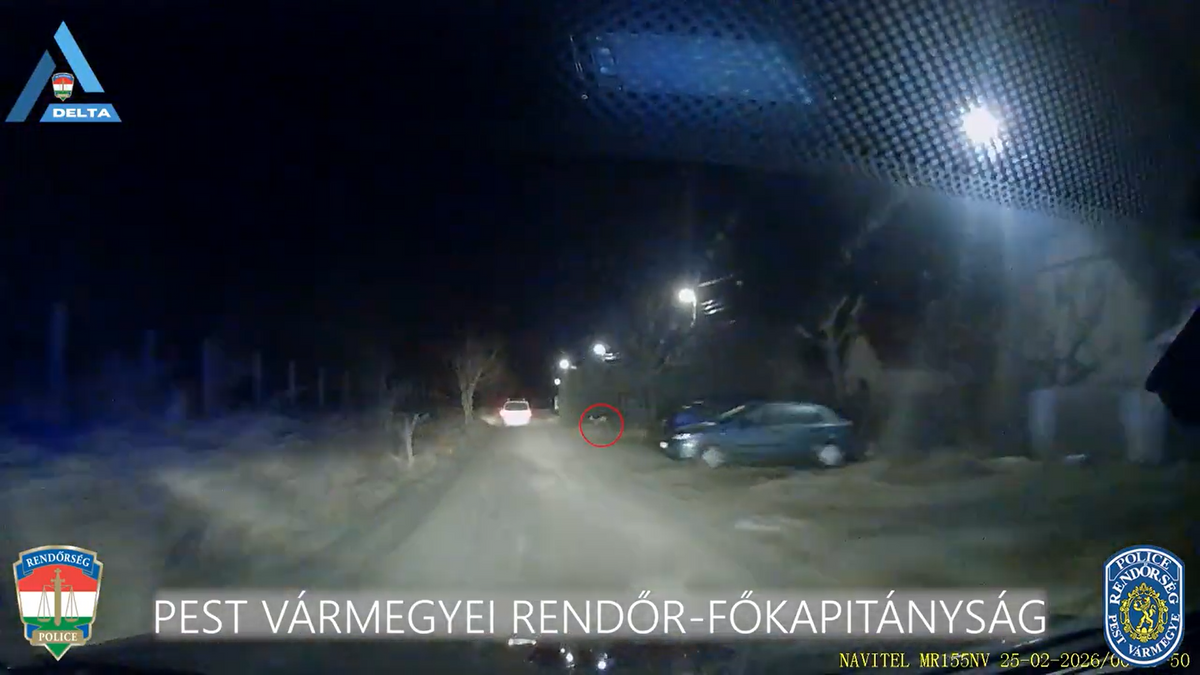 Miközben a drogdílert üldözték, a rendőrök előtt átfutott egy őz. - Fotó: Youtube/rendőrség