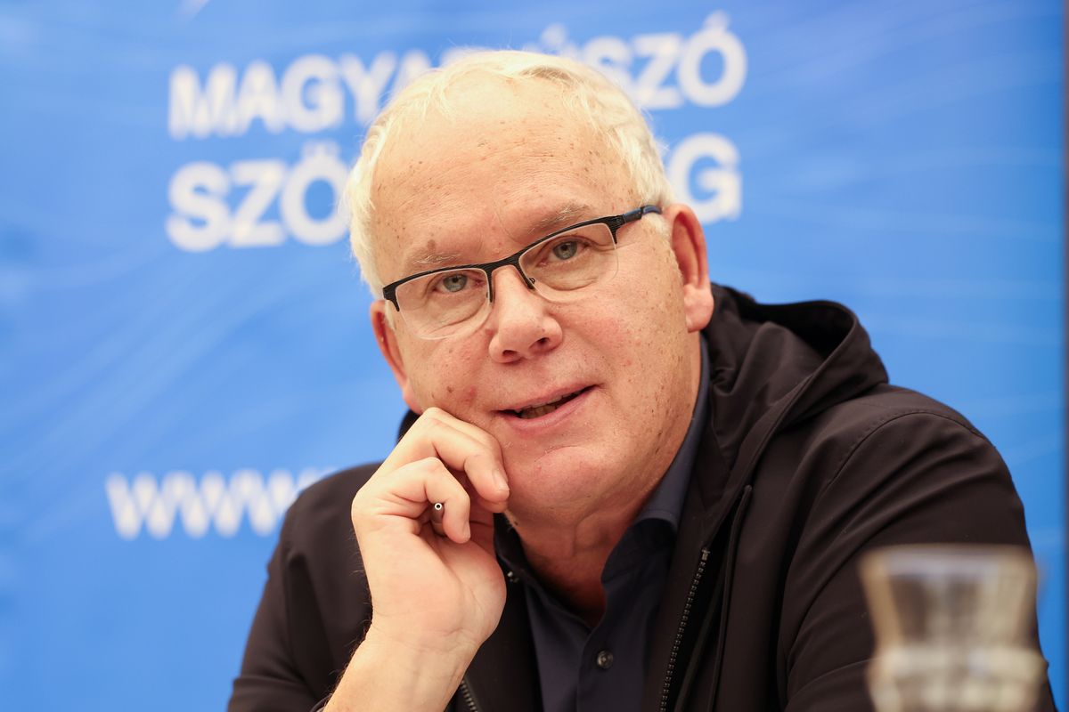 Wladár Sándor és az úszóválogatott szerencsésen hazatért