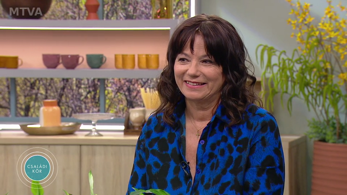 Ivancsics Ilona vályogházat újít fel