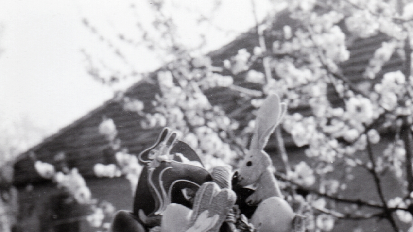 Kvíz kérdést ábrázoló kép.